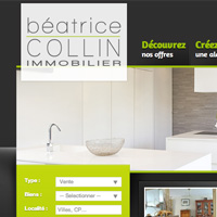Beatrice Collin Immobilier
